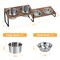 4 Bowl Large Capacity Elevated Dog Bowl Stand, Rustic Wood Grain Tilt Raised Stainless Steel Pet Feeding Dishes